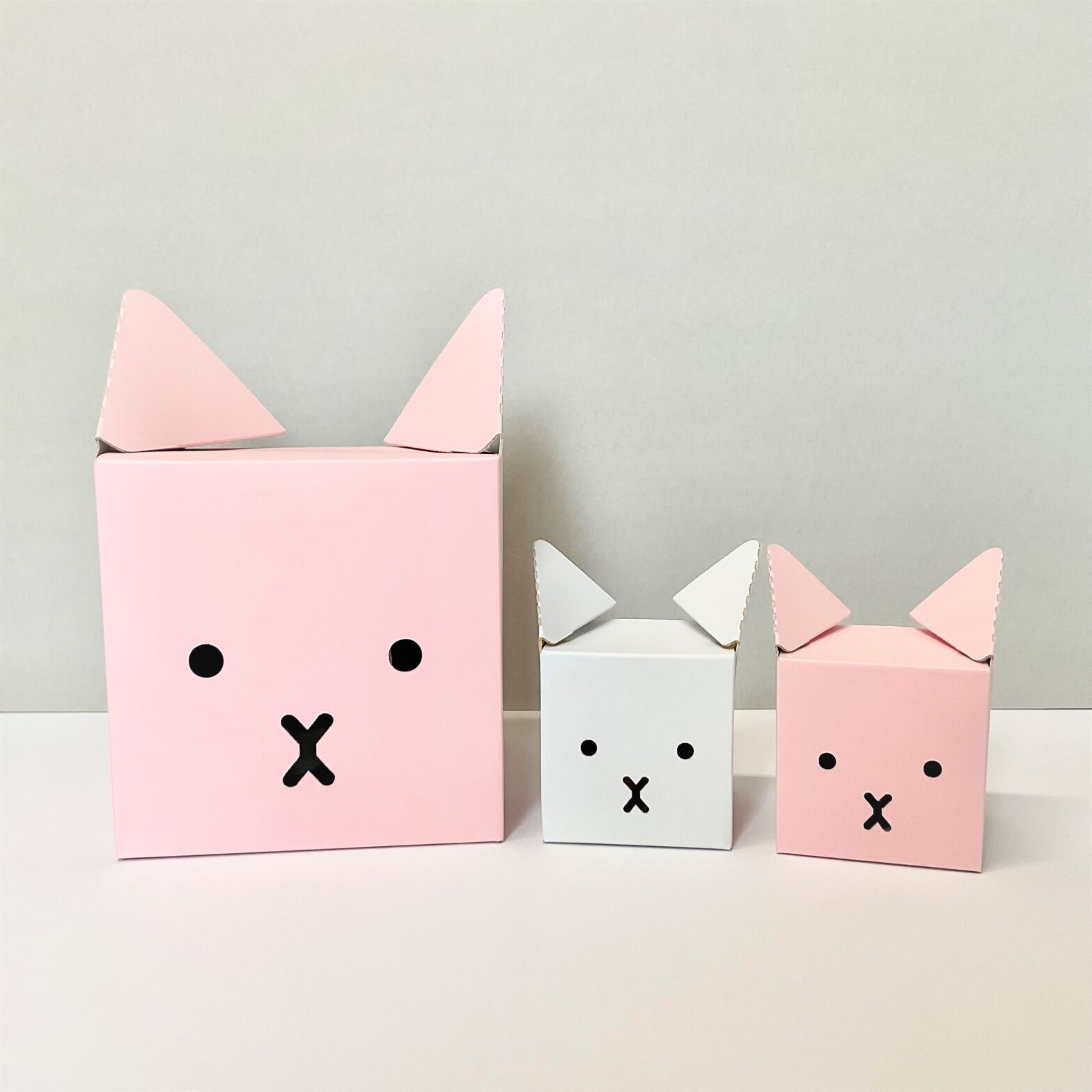 安価なうさぎの組み立て箱